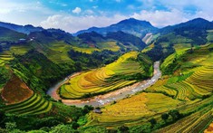 Chào mừng 80 năm Tết Độc lập – xã Mù Cang Chải tổ chức “Lễ hội Mùa Vàng” và nhiều hoạt động mang đậm bản sắc của người dân vùng cao