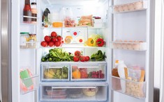 Nên mua tủ lạnh hãng nào bền nhất? 9+ thương hiệu tốt hiện nay