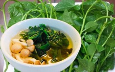 3 loại rau giải nhiệt mùa hè nên có trên mâm cơm mọi nhà trong những ngày nắng nóng cực gắt: Vừa giải nhiệt, bổ máu lại thanh lọc cơ thể