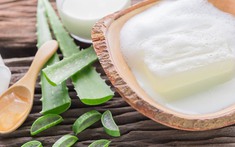Nha đam là "vị cứu tinh" cho mái tóc yếu, gãy rụng: 5 cách dùng giúp tóc mọc nhiều vô kể