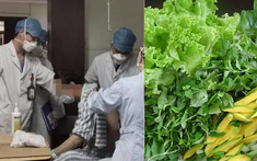 Hay ăn rau truc tiep bong da c1, người phụ nữ TP.HCM phát hiện "ổ ký sinh trùng" ở vị trí nguy hiểm