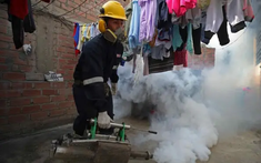 CDC Mỹ khuyến cáo cách phòng dịch Chikungunya đang bùng phát ở Trung Quốc, gần 3.000 ca mới trong một tuần