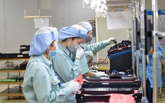 Trục lợi bảo hiểm thất nghiệp: Ranh giới giữa vô tình và cố ý vi phạm pháp luật