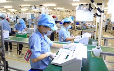 Chính sách bảo hiểm thất nghiệp thời gian qua có gì mới? - Những điều người lao động trẻ cần biết để không mất quyền lợi.