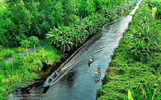 Sông Trẹm – Khúc mơ hiền hòa giữa đất rừng phương Nam