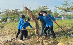Vai trò của gia đình trong giáo dục ý thức bảo vệ Tổ quốc xã hội chủ nghĩa cho thanh niên hiện nay