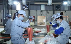 Hỗ trợ học phí, tiền ăn khi học nghề cho người lao động thất nghiệp 