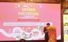 Vietnam Phở Festival 2025: Từ hương vị truyền thống đến cầu nối văn hóa, kinh tế Việt Nam – Singapore