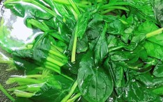 4 loại rau này không chần nước sôi coi chừng cả nhà trúng độc, loại thứ 2 rất nhiều người mê