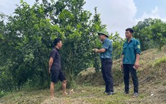 Xã Chấn Thịnh: Phát triển nông, lâm nghiệp theo chuỗi giá trị gắn với xây dựng nông thôn mới bền vững là nhiệm vụ trọng tâm