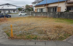 Mua mảnh đất 300 triệu để trồng cây, gia chủ bất ngờ đổi đời sau 1 năm: Đất để không cũng sinh lời gần 10 lần!