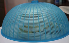 4 thực phẩm tưởng sạch nhưng là "ổ vi khuẩn", ăn sai dễ phải nhập viện