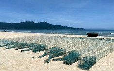 Từ ngư trường đến sản phẩm: Chăm sóc khách hàng nền tảng vững chắc cho mọi bước phát triển