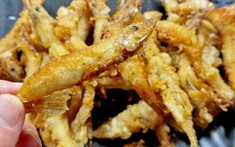 Đi chợ mua cá, nhớ kỹ 4 loại này toàn hàng “xịn”, dinh dưỡng cao, lại không thể nuôi nhân tạo, gặp là nên mua ngay