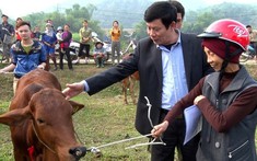 Tinh thần yêu nước qua phong trào thi đua xây dựng nhà tình nghĩa tại tỉnh Trà Vinh