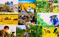 Giải pháp phát triển mô hình kinh tế tuần hoàn trong lĩnh vực nông nghiệp của thanh niên nông thôn hiện nay