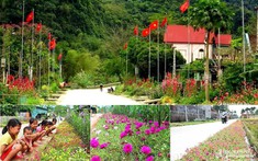 Giải pháp nâng cao hiệu quả quản lý nhà nước về xây dựng nông thôn mới tại tỉnh Quảng Ninh hiện nay