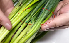 5 lich truc tiep bong da ngoai hang anh rau quả "ngậm thuốc" nhiều nhất chợ, tiểu thương lâu năm nói thẳng không bao giờ cho gia đình ăn