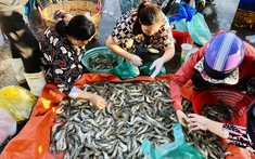 Mẹ chồng "ngồi vẽ" cho con dâu cách tiết kiệm mà nàng dâu chỉ biết "á với ố"