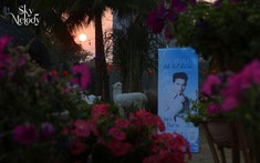 Xuất hiện trải nghiệm âm nhạc mới trong không gian sống Ecopark