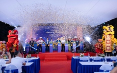 NETHOMES - Đơn vị tư vấn và phát triển kinh doanh bất động sản chuyên nghiệp