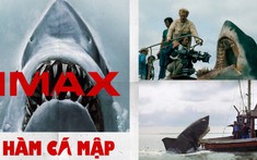 "Hàm cá mập" vẫn là trải nghiệm điện ảnh khó lòng bỏ lỡ sau 51 năm