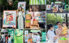 Chuỗi hoạt động trải nghiệm táo Pháp 2025: Khi hương vị châu Âu đến gần hơn với gia đình Việt