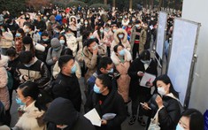 Kỳ lạ gia đình càng khó khăn, càng thích để con cái chọn 3 kiểu công việc này