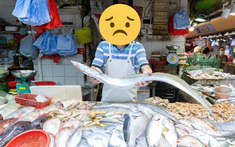 4 loại hải sản nhất định ĐỪNG MUA dịp sát Tết, người bán cũng phải thừa nhận: "Cho không chưa chắc dám ăn"