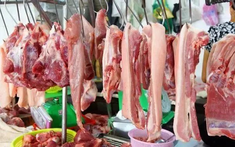 Chuyên gia chăn nuôi và thú y: 5 cách nhận biết thịt lợn ngon, khác xa lợn bệnh, lợn chết