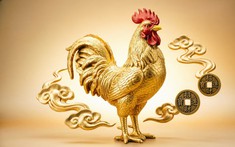 Tin vui cho người đang áp lực vì tiền: 3 con giáp có dấu hiệu tài chính đổi chiều từ cuối tháng 8 âm