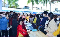 Trung tâm Dịch vụ việc làm Tuyên Quang chú trọng giải quyết việc làm cho người lao động