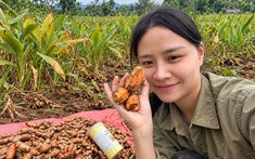Hà Xứ Nghệ – Khi một người trẻ trở về để gắn bó với nghề làm nông