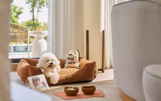 Lộ diện resort mới toanh tại Cam Ranh: Hồ bơi vô cực sát biển, ăn uống thả ga trọn gói và được dẫn theo thú cưng đi muôn nơi