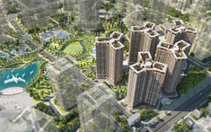 Quản trị - nền tảng cho hành trình Go Global của ROX Group