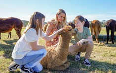 Từ những vườn nho đến mùa hoa rực rỡ: 5 chuyến đi trong ngày tuyệt đẹp từ Sydney