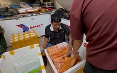 Đồn Biên phòng CKQT Lào Cai: Triệt phá đường dây nhập lậu trứng gà non qua biên giới