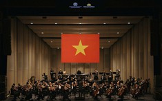 Hãng Hàng không quốc gia và vai trò nâng tầm thương hiệu điểm đến Việt Nam
