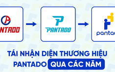 Sau 10 năm - Pantado làm mới nhận diện và hành trình giáo dục tiếng Anh
