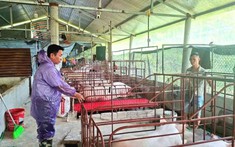 Xã Phúc Lợi hỗ trợ phát triển sản xuất, đa dạng hóa sinh kế và nhân rộng các mô hình giảm nghèo