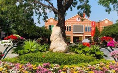 Thực hiện nghiêm quy định văn hoá trường Đảng nhằm góp phần xây dựng văn hoá liêm chính tại Trường Chính trị tỉnh Thanh Hoá