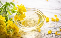 Nhiều gia đình đang dùng sai dầu ăn mỗi ngày: Dầu hạt cải có thực sự vô hại? 3 loại dầu ăn nên hạn chế để bảo vệ tim mạch