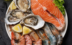 Top 7 loại hải sản phổ biến có hàm lượng thủy ngân thấp