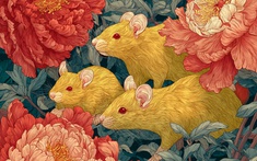 4 con giáp giàu "nứt đố đổ vách" năm 2026, 3 tuổi khốn đốn vì hạn!