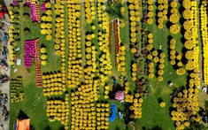 Nhộn nhịp chợ hoa Xuân ở Cố đô Huế