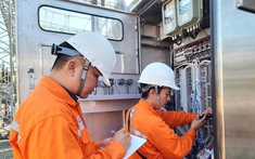 EVNSPC đã chuẩn bị kỹ phương án bảo đảm điện dịp Tết Nguyên đán 2026