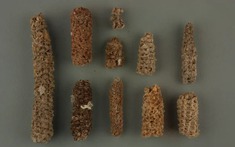 Bí mật "bốc mùi" giúp nền văn minh cổ đại nở hoa giữa sa mạc khô cằn nhất Trái Đất