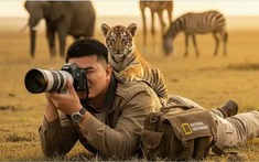 Báo động đỏ từ giới khoa học: Video AI đang âm thầm kích động bạo lực và tiếp tay cho tội phạm buôn thú như thế nào?