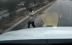 Clip bé trai chạy băng qua cao tốc khiến ô tô phanh “cháy bánh”