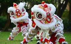 Tết không chỉ để vui: xu hướng “nghỉ Tết có chiều sâu” lên ngôi